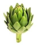 can-i-give-my-dog-artichokes-264x300